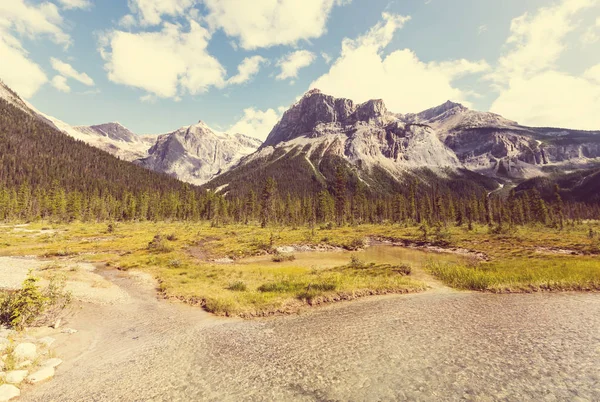 Pintorescas Montañas Canadienses Verano — Foto de Stock