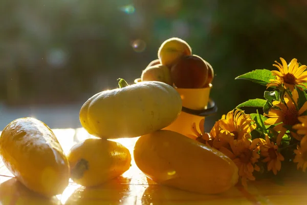 Récolte Été Sur Table Dans Jardin — Photo