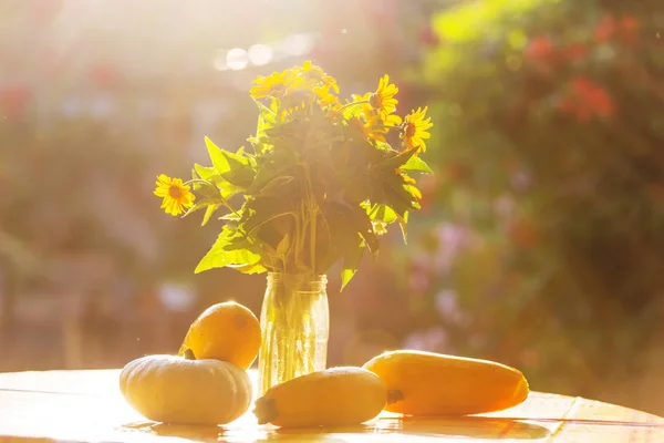 Récolte Été Sur Table Dans Jardin — Photo