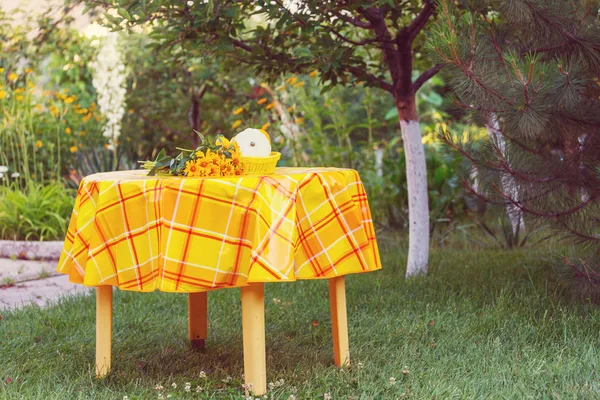 庭のテーブルで夏の収穫 — ストック写真