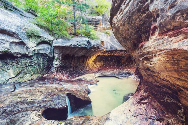 Narrows yuvası Kanyon, Zion National Park, Utah, Amerika