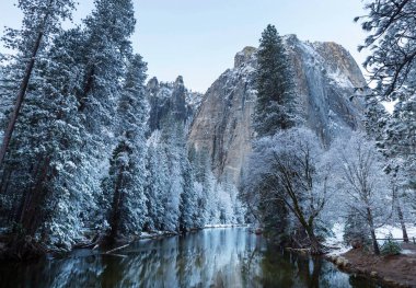 Güzel erken Bahar manzaraları Yosemite Milli Parkı'nda, Yosemite, ABD