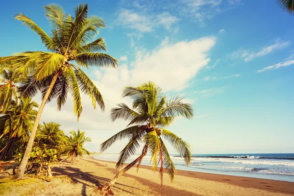 Vackra Tropiska Stilla Havskusten Costa Rica — Stockfoto