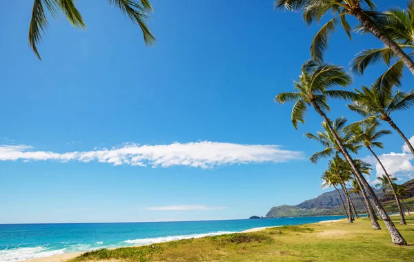 Incroyable Plage Hawaïenne Paysage Nature — Photo