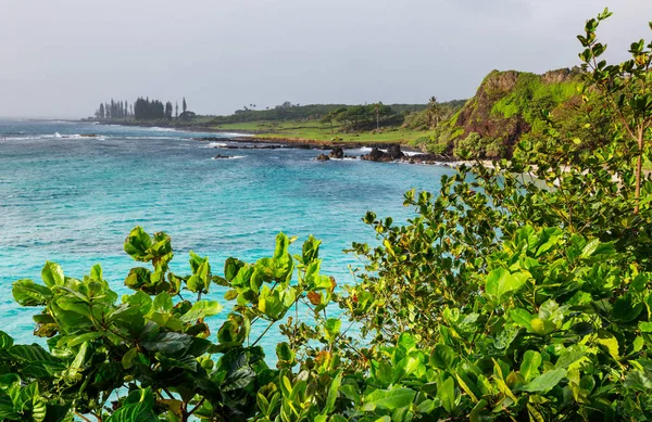 Gyönyörű Trópusi Tájak Maui Szigeten Hawaii — Stock Fotó