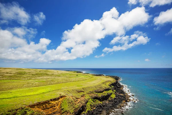 Erstaunliche Hawaiianische Strand Malerische Aussicht — Stockfoto