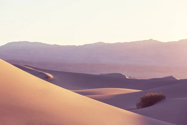 Dunas Areia Death Valley National Park Califórnia Eua — Fotografia de Stock