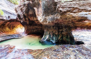 Narrows yuvası Kanyon, Zion National Park, Utah, Amerika