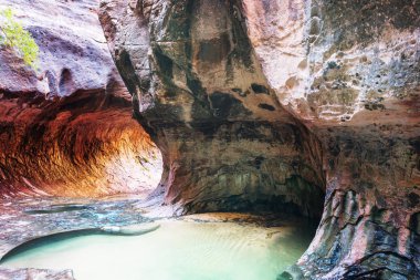Narrows yuvası Kanyon, Zion National Park, Utah, Amerika