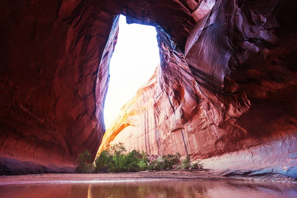 Zlatá Katedrála Neon Kaňonu Národním Parku Escalante Utah — Stock fotografie