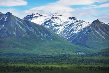 Yazın Alaska 'nın Picturesque Dağları. Karla kaplı kütleler, buzullar ve kayalık tepeler.