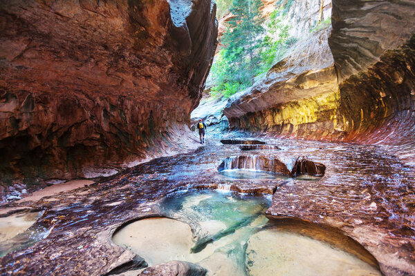 Узкие места в слот-каньоне, Национальный парк Зайон, Юта, США

