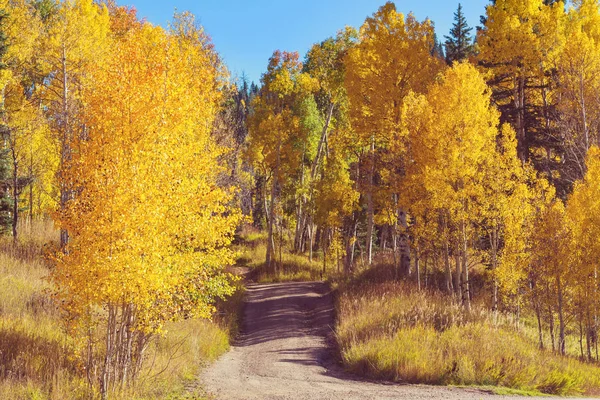 Scène Automne Dans Les Tons Jaunes — Photo