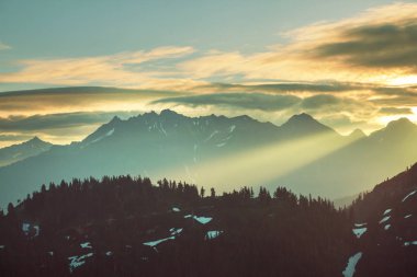 Mt. Baker dinlenme alanı, Washington, ABD