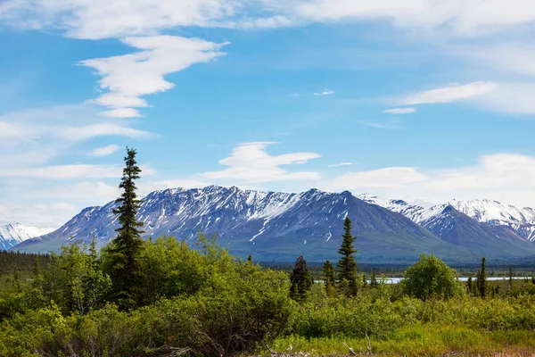 Yazın Alaska 'nın Picturesque Dağları. Karla kaplı kütleler, buzullar ve kayalık tepeler.