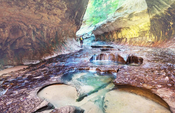 Estrecha Cañón Ranura Parque Nacional Zion Utah — Foto de Stock