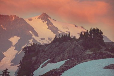 Mt. Baker dinlenme alanı, Washington, ABD