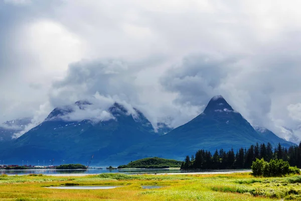 夏にアラスカの絵のような山 雪に覆われた大規模な氷河や岩のピーク — ストック写真