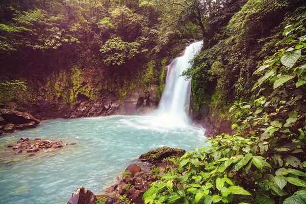 哥斯达黎加雨林丛林中雄伟的瀑布 热带远足 — 图库照片