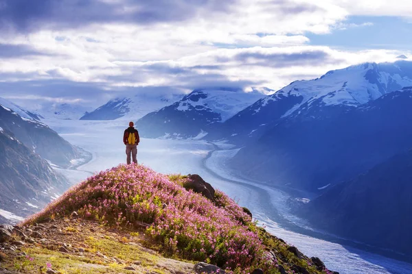 Wanderung Alaska Zur Sommerzeit — Stockfoto