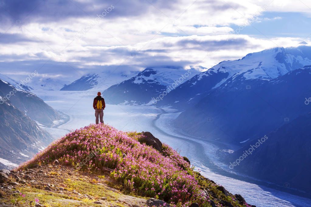 Hike in  Alaska at summertime