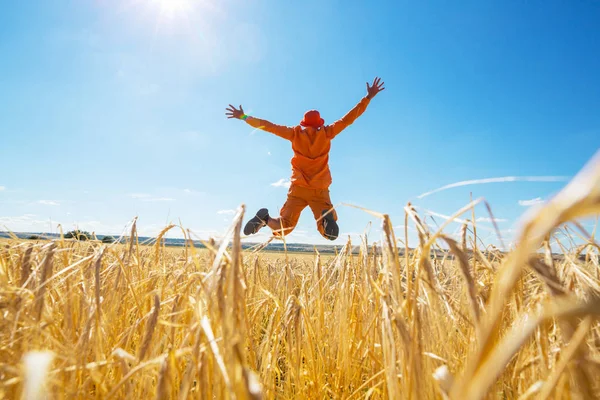 Happy Man Yellow Wheat Field — Stock Photo, Image