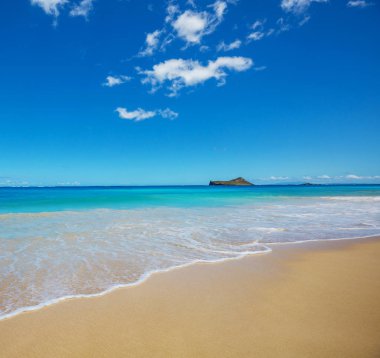 Hawaii, Oahu adasındaki güzel manzaralar.