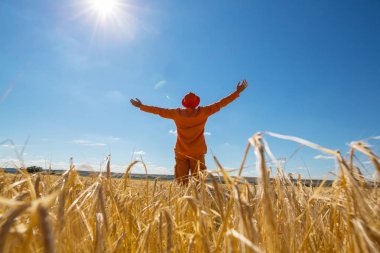 Mutlu adam sarı buğday alanında