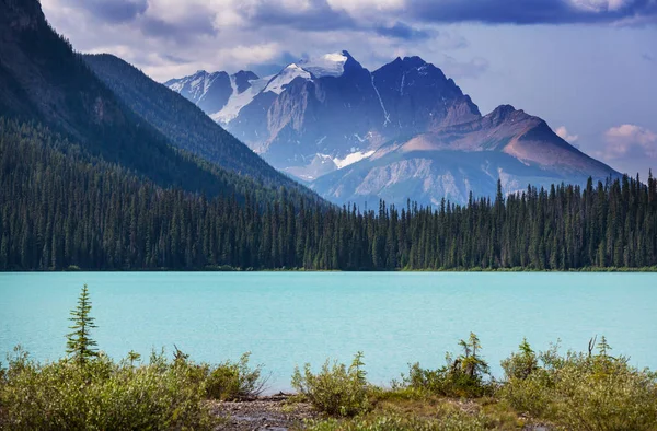 Bow Lake Icefields Parkway Nationaal Park Banff Canada — Stockfoto