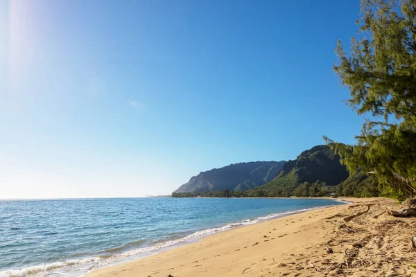 Bellissimi Paesaggi Nell Isola Oahu Hawaii — Foto Stock