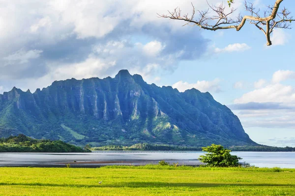 Bellissimi Paesaggi Nell Isola Oahu Hawaii — Foto Stock