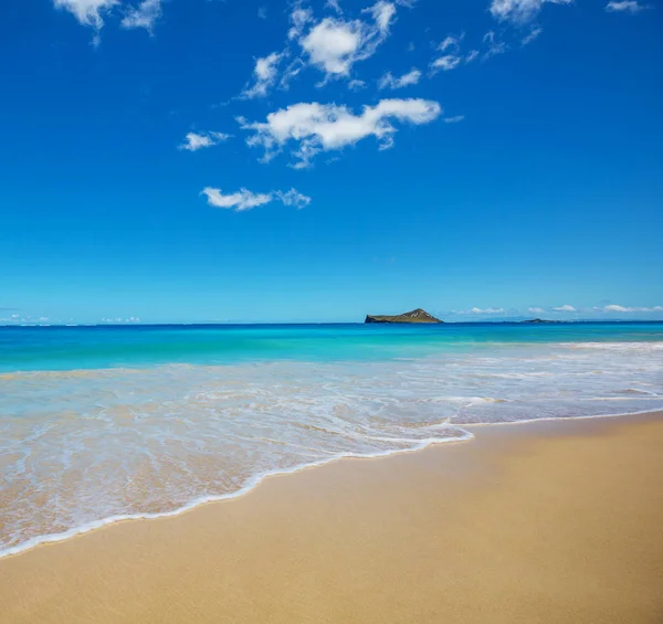 하와이 오하우 아름다운 — 스톡 사진