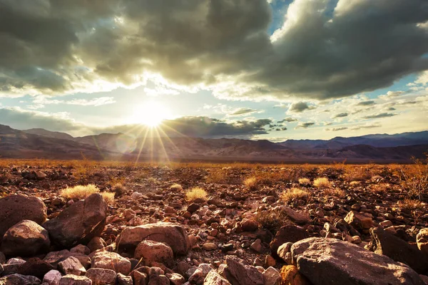 Paysages Des Prairies Nature Vue Panoramique — Photo