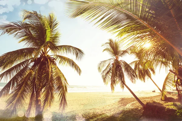 Rust Het Tropische Strand Natuur Landschap — Stockfoto