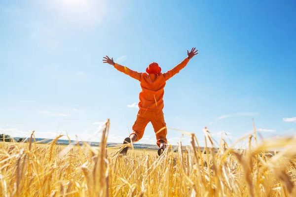 Happy Man Yellow Wheat Field — Stock Photo, Image
