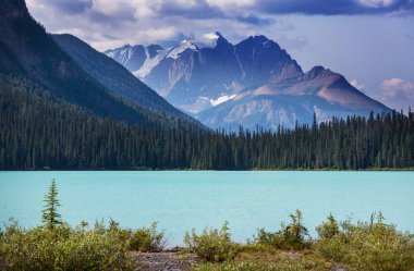 Bow Lake, Icefields Parkway, Banff Ulusal Parkı, Kanada