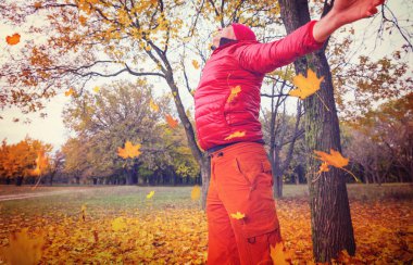 Sarı tonlarda sonbahar sahnesi