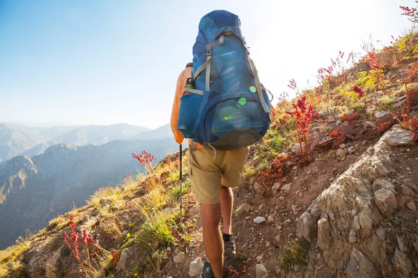 Çimgan dağlarında Özbekistan zammı.