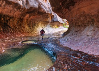 Zion national park için yapılan zammı
