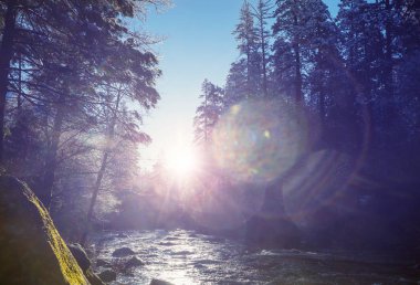 Güzel erken Bahar manzaraları Yosemite Milli Parkı'nda, Yosemite, ABD