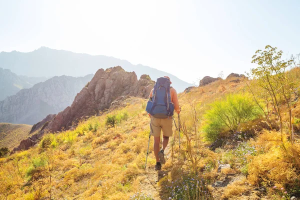 Backpacker Nelle Montagne Estive — Foto Stock