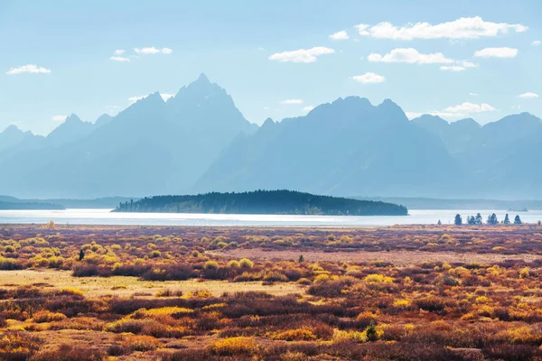 Élénk Színek Őszi Szezonban Grand Teton Nemzeti Park Wyoming Usa — Stock Fotó