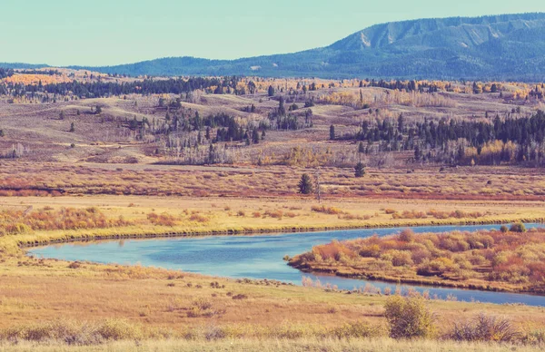 Jaskrawe Kolory Jesiennego Sezonu Parku Narodowym Grand Teton Wyoming Usa — Zdjęcie stockowe