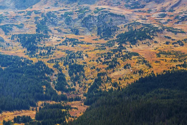 Saison Automne Colorée Montagne — Photo