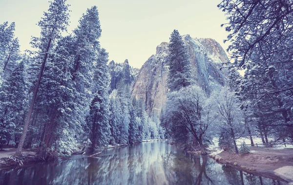 Hermosos Paisajes Primaverales Parque Nacional Yosemite Yosemite —  Fotos de Stock