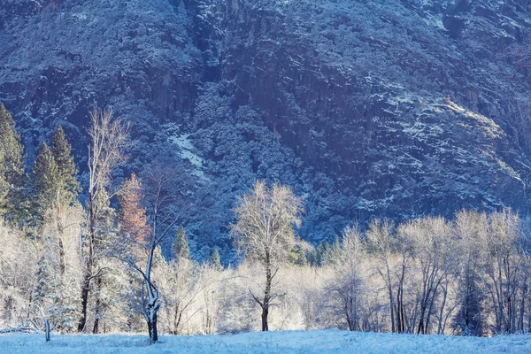 Beaux Paysages Début Printemps Dans Parc National Yosemite Yosemite États — Photo