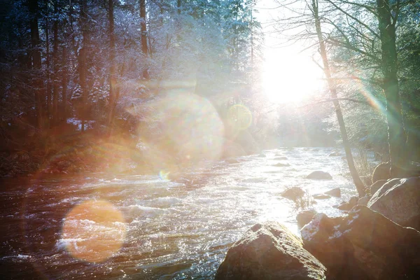 Beaux Paysages Début Printemps Dans Parc National Yosemite Yosemite États — Photo