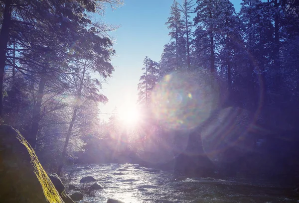 Lindas Paisagens Início Primavera Parque Nacional Yosemite Yosemite Eua — Fotografia de Stock