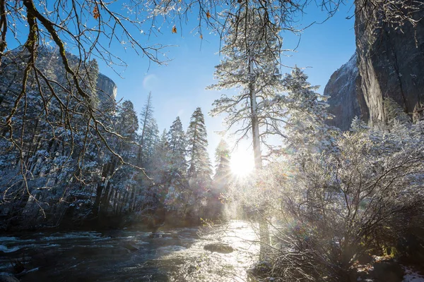 Прекрасные Пейзажи Ранней Весны Национальном Парке Йосемити Йосемити Сша — стоковое фото