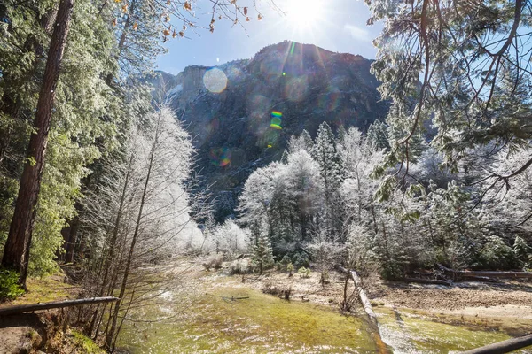 Wunderschöne Frühlingslandschaften Yosemite Nationalpark Yosemite Usa — Stockfoto